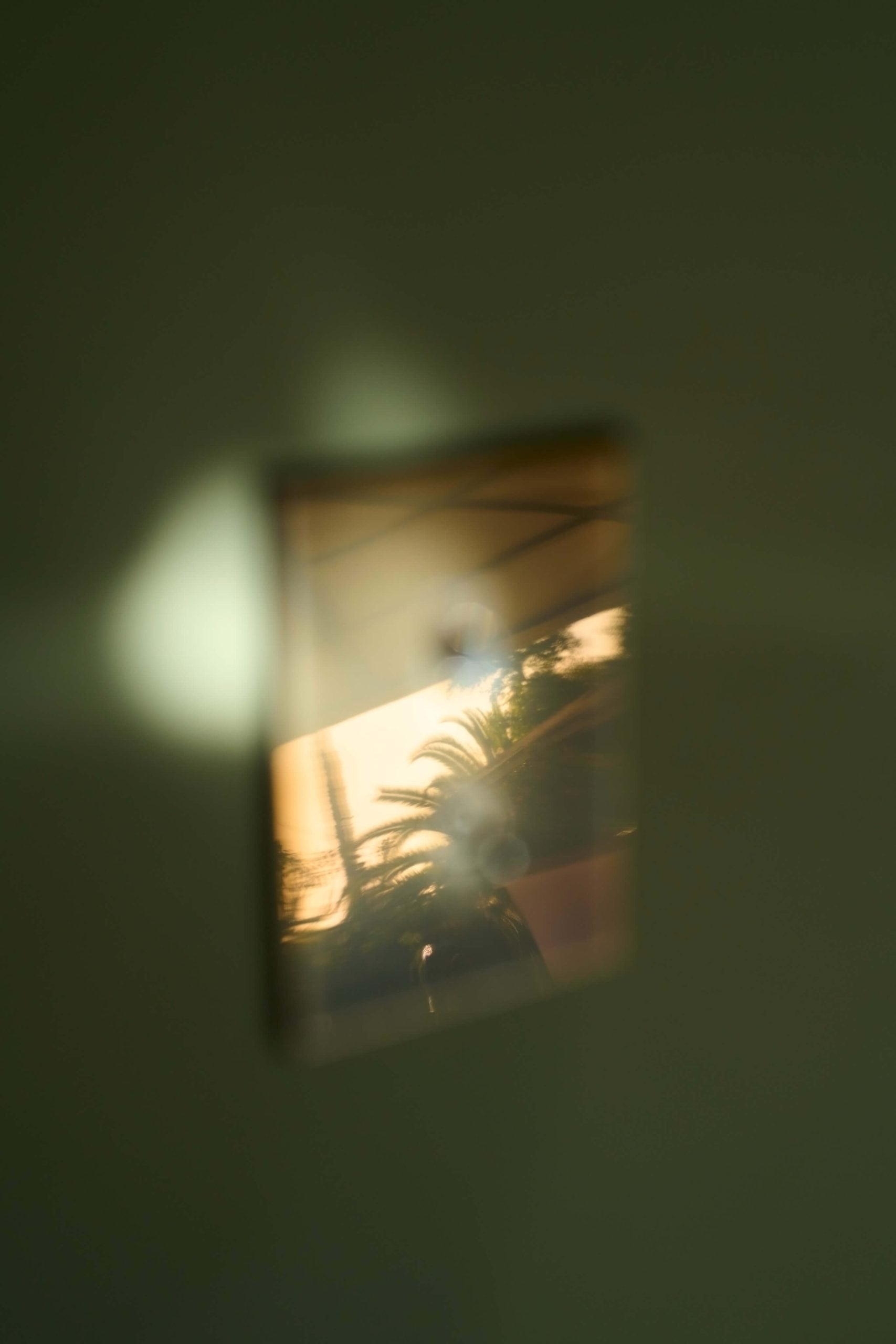 A blurred reflection of palm trees and sunlight on a glass or mirror surface, set against a neutral, softly lit background.